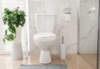 7 Requirements to find the Best Toilet for you