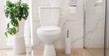 7 Requirements to find the Best Toilet for you