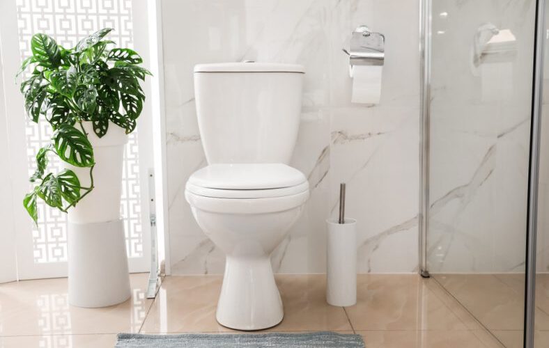 7 Requirements to find the Best Toilet for you